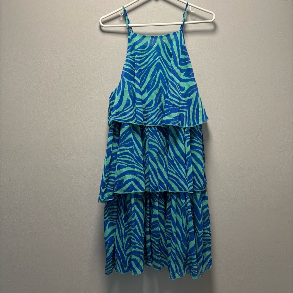 Blue and Green Zebra Print Women's Dress